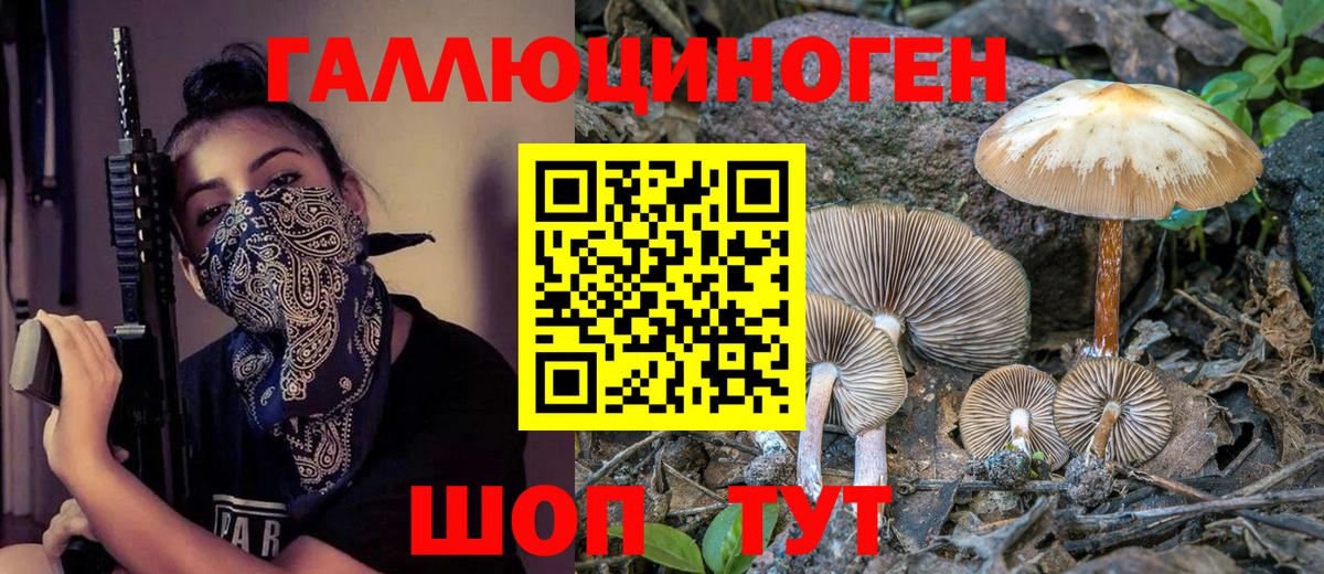 Избербаш  Псилоцибиновые грибы ЛСД  Псилоцибиновые грибы мицелий  Вход с VPN 