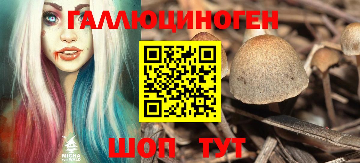 Галлюциногенные грибы MAGIC MUSHROOMS Избербаш